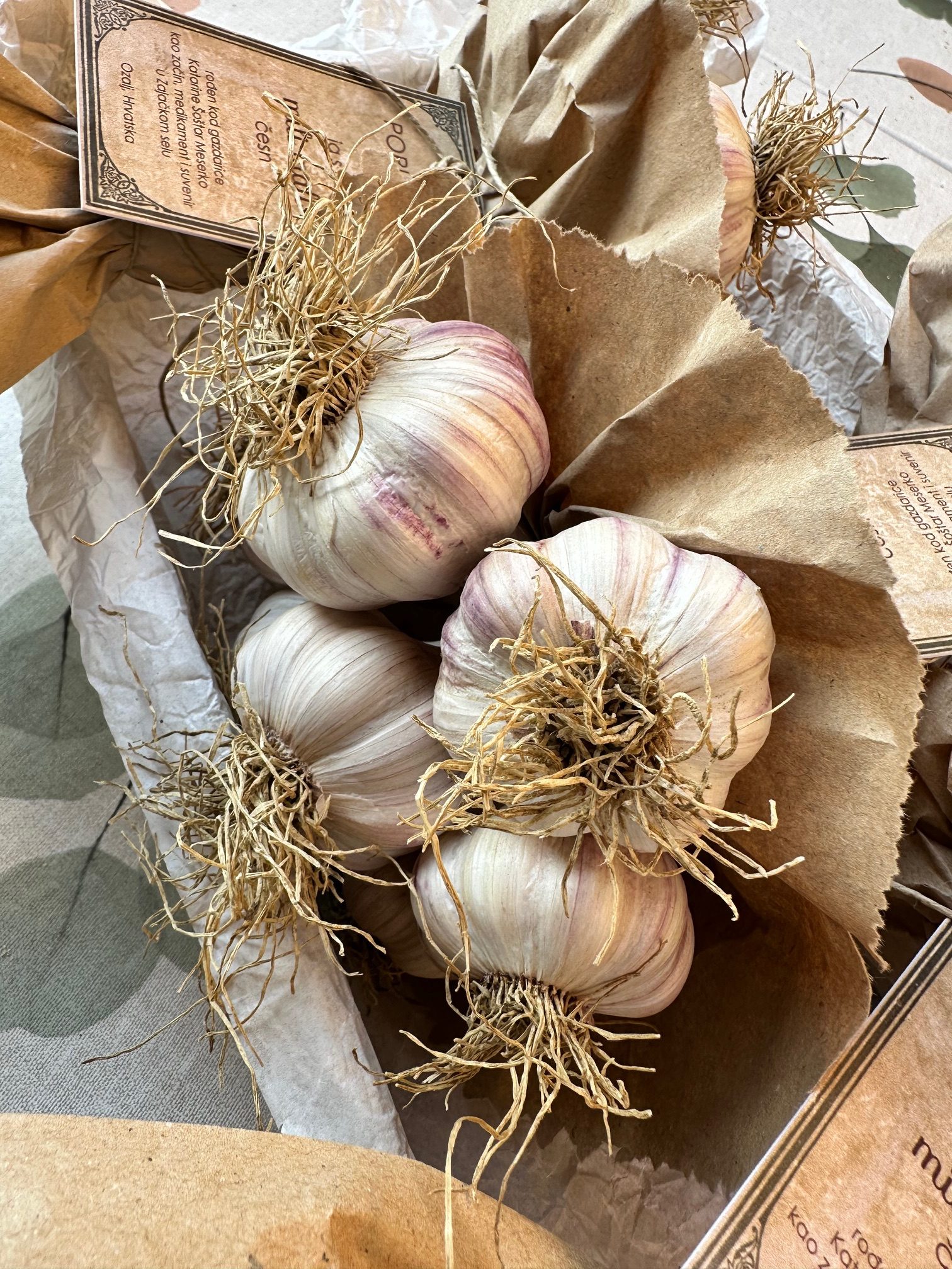 garlic